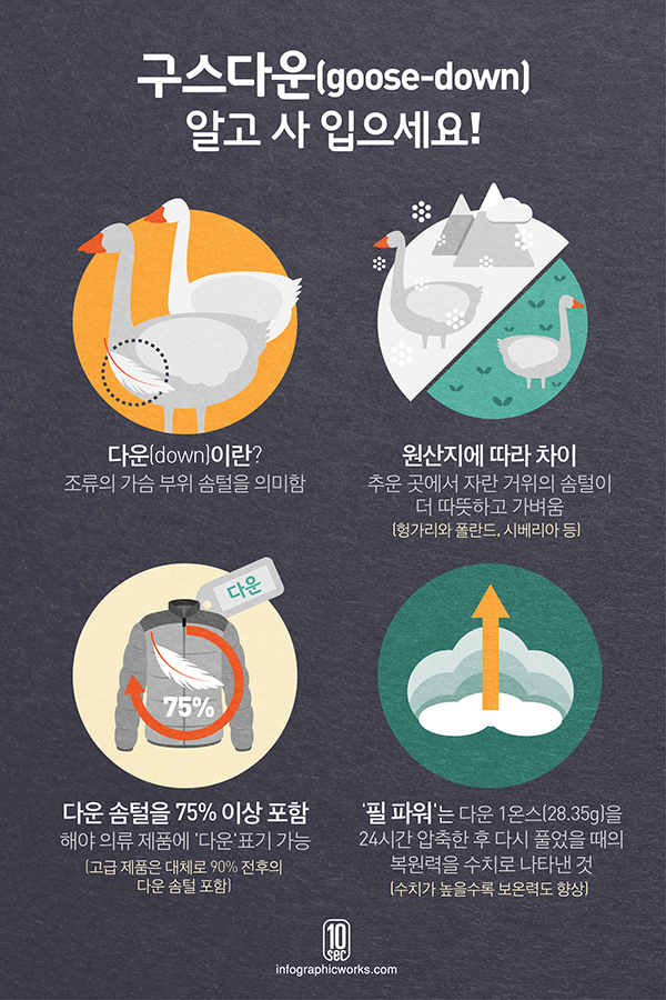 13.11.19_다운_김영연